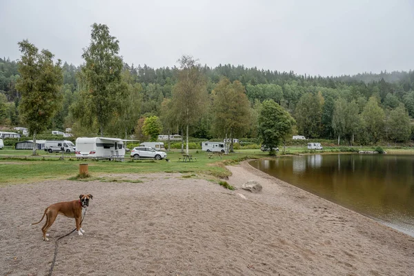 Campingplads Campingvogn Ved Søen Ragnerudssjoen Dalsland Sverige Smuk Naturskov Pinetree - Stock-foto