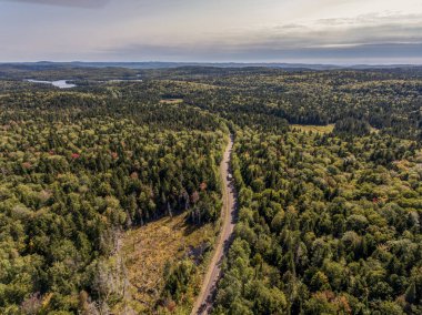 Kanada, Quebec 'teki La Mauricie Ulusal Parkı' nda göl kenarındaki ormanın manzarası çok güzel..