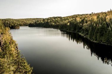 Kanada, Quebec 'teki La Mauricie Ulusal Parkı' nda göl kenarındaki ormanın manzarası çok güzel..