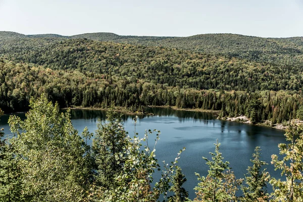 Widok Las Pobliżu Jeziora Parku Narodowym Mauricie Quebec Kanada Piękny — Zdjęcie stockowe