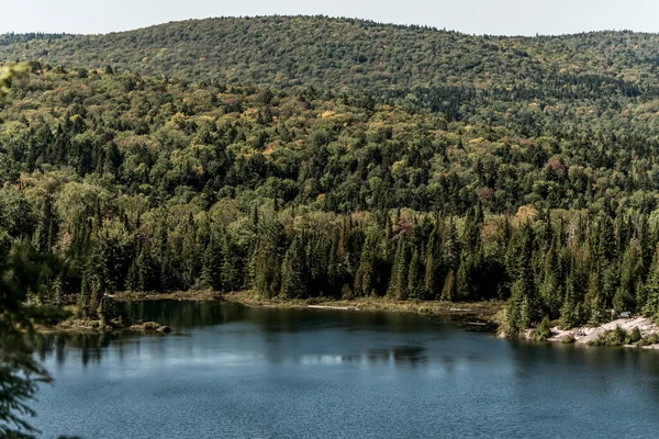 カナダのラモーリス国立公園ケベックの湖近くの森を見る — ストック写真