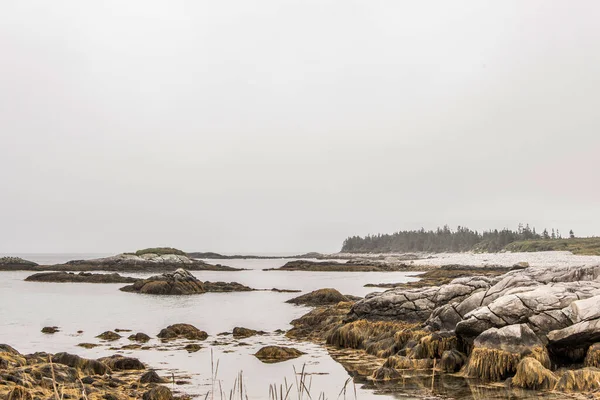 Kejimkujik Ulusal Parkı Nın Sahil Şeridinde Nova Scotia Kanada Sisli — Stok fotoğraf