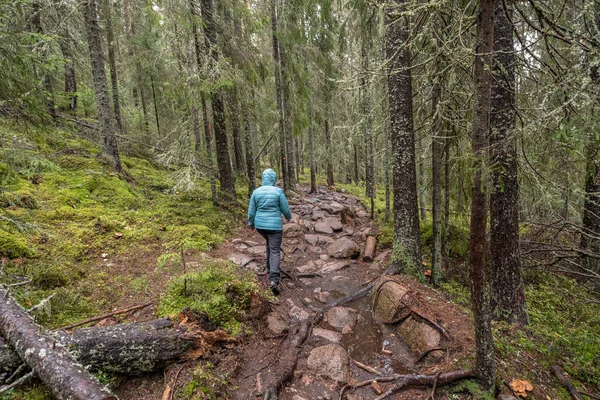 Wanderweg Wald Zwischen Bäumen Skuleskogen Nationalpark Schweden Nordeuropa Hoga Kusten — Stockfoto