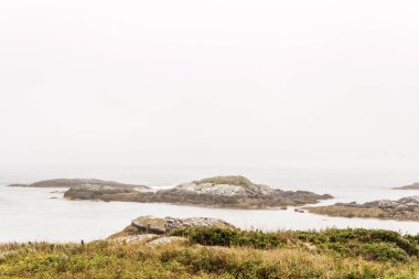 Kejimkujik Ulusal Parkı 'nın sahil şeridinde, Nova Scotia, Kanada' da sisli bir sabah keşfediyorum..