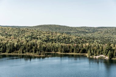 Kanada, Quebec 'teki La Mauricie Ulusal Parkı' nda göl kenarındaki ormanın manzarası çok güzel..
