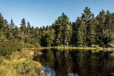 Kanada, Quebec 'teki La Mauricie Ulusal Parkı' nda göl kenarındaki ormanın manzarası çok güzel..