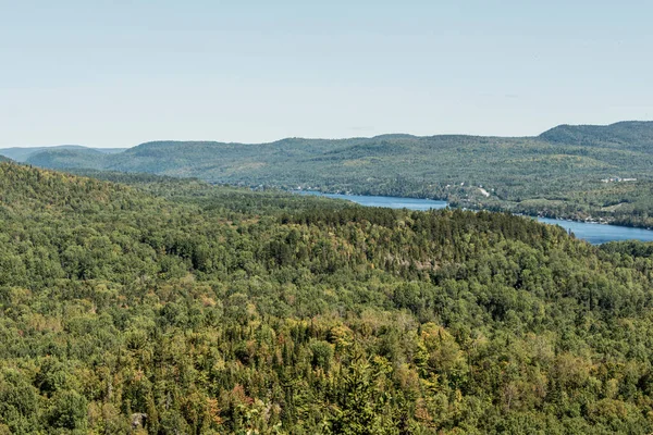 Vista Sobre Floresta Perto Lago Parque Nacional Mauricie Quebec Canadá — Fotografia de Stock