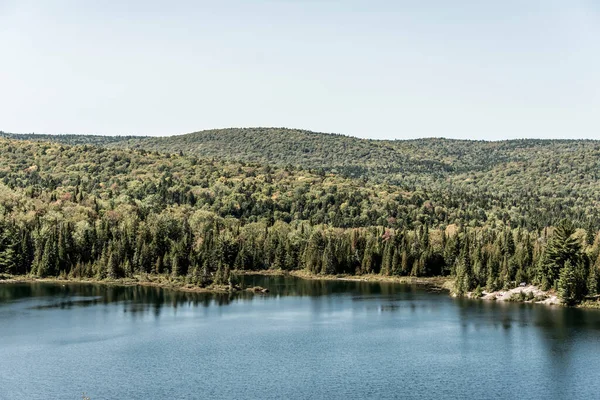 Pohled Les Blízkosti Jezera Národním Parku Mauricie Quebec Kanada Krásného — Stock fotografie