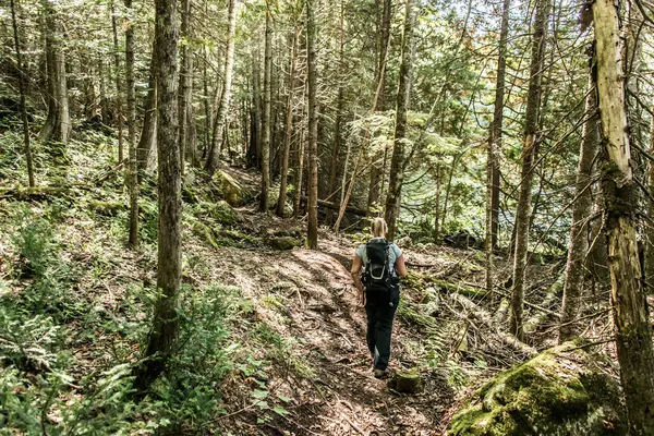 カナダのラモーリス国立公園ケベックの湖近くの森でハイキングする少女 — ストック写真
