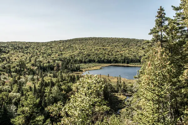 カナダのラモーリス国立公園ケベックの湖近くの森を見る — ストック写真