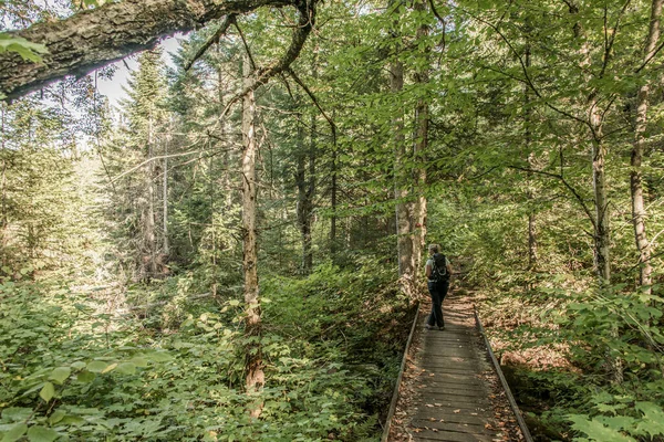 カナダのラモーリス国立公園ケベックの湖近くの森でハイキングする少女 — ストック写真