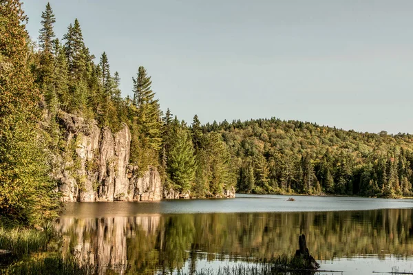 美丽的一天 观看加拿大魁北克拉莫里西国家公园湖边的森林 — 图库照片
