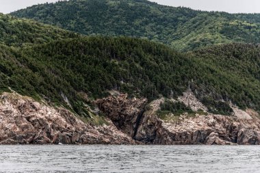 Cape Breton Adası Sahil Hattı 'nın panoramik manzarası Cabot Yolu manzaralı rotası, Nova Scotia Hghlands Kanada.