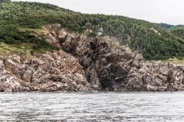 Cape Breton Adası Sahil Hattı 'nın panoramik manzarası Cabot Yolu manzaralı rotası, Nova Scotia Hghlands Kanada.