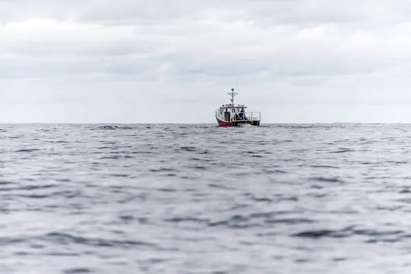 Pleasant Bay Marina Wioska Rybacka Wycieczki Wieloryb Oglądanie Cape Breton — Zdjęcie stockowe