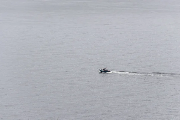 Pleasant Bay Marina Wioska Rybacka Wycieczki Wieloryb Oglądanie Cape Breton — Zdjęcie stockowe