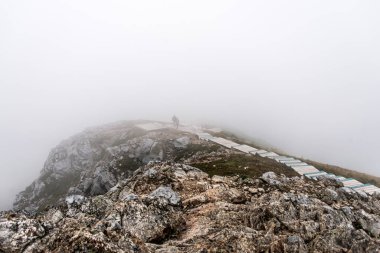 St. Lawrence Körfezi üzerindeki bulutlar ve sis Cape Breton Highlands Ulusal Parkı, Nova Scotia 'daki Skyline Patikası' ndaki tahta kaldırımdan geliyor..