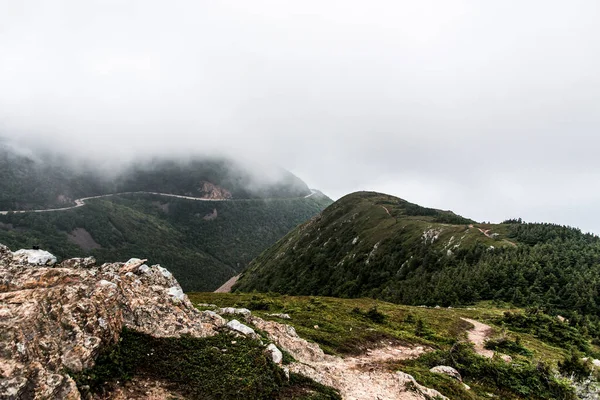 Mountain Scenic Trail Rain Green Forest Hill Covered Fog Cape — Stock Photo, Image