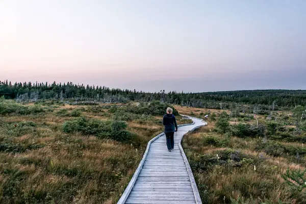 Ormanlık arazide yürüyüş yapan kız Breton Adası Sahili Nova Scotia Highlands Kanada.