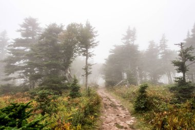 Yağmurdan sonra dağ manzaralı tepe Sis Burnu Breton Highlands Ulusal Parkı Nova Scotia Kanada.