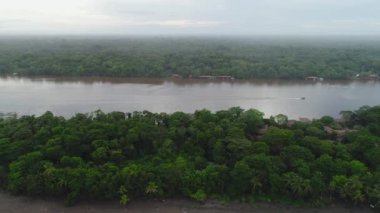 Tortuguero Ulusal Parkı Kaplumbağa Sahili Kosta Rika hava uçağı manzaralı.