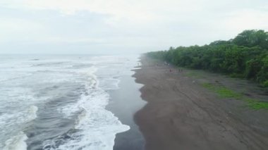 Tortuguero Ulusal Parkı Kaplumbağa Sahili Kosta Rika hava uçağı manzaralı.