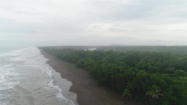 Parque Nacional Tortuguero Praia Tartaruga Costa Rica Avião Aéreo Vista — Vídeo de Stock