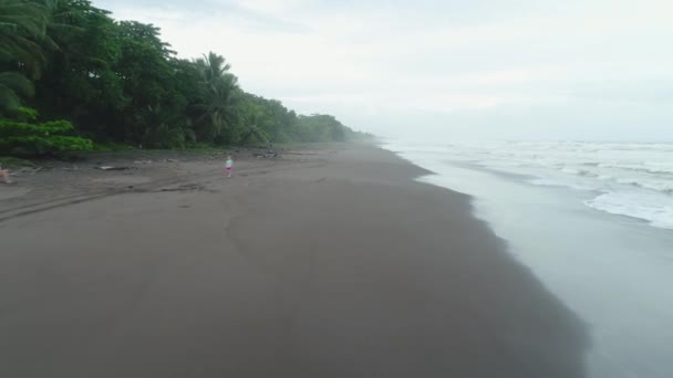 Tortuguero Nationalpark Schildkröte Strand Küste Costa Rica Flugzeug Ansicht — Stockvideo