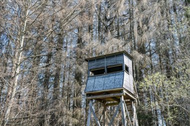 Bir avcı kışın ağaçlarla çevrili ormanda oturur. Bir Alman ormanında görüldü.
