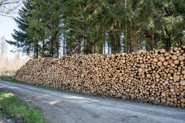Doğal ahşap arka plan kıyılmış kuru odun günlükleri kışa hazır bir yığın soyut fotoğraf