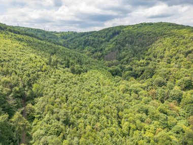 Alman Orman Tepesi Krahnenberg Andernach 'in yukarısında Krahnenburg denen terk edilmiş bir bina var..
