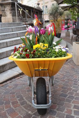 Paskalya kurdeleleri ve yumurtalarla süslenmiş bahar çiçekleri ve laleler sarı bir el arabasına dikilmiş. Bir şehir merkezinde şenlikli şehir dekorasyonu.
