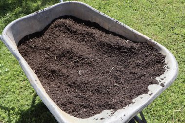 Zengin, karanlık topraklarla dolu bir el arabası parlak güneş ışığının altında yeşil çimenli bir çimenlikte duruyor. Bahçe işleri, peyzaj ve bahar hazırlama temaları için ideal.