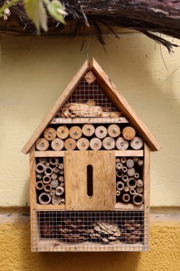 Duvarda asılı tahta böcek evi, bahçe ortamında böcekler ve tozlaştırıcılar için doğal bir barınak sağlıyor. Vahşi yaşam için çevre dostu yaşam alanı.