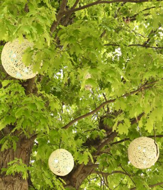 Yeşil yapraklı bir ağacın dallarından sarkıtılmış dokuma malzemeden yapılmış dekoratif yuvarlak fenerler. Sahne aydınlık ve huzurlu, dışarıda şenlikli bir hava yaratıyor..