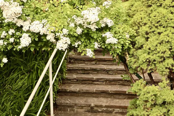 Doğal taştan yapılmış pitoresk bir bahçe merdiveni yukarı doğru uzanır, yemyeşil ve çiçek demetleriyle süslenir. Adımların yanında beyaz bir korkuluk uzanır, sahnenin toprak tonlarına nazik bir kontrastlık ekler..