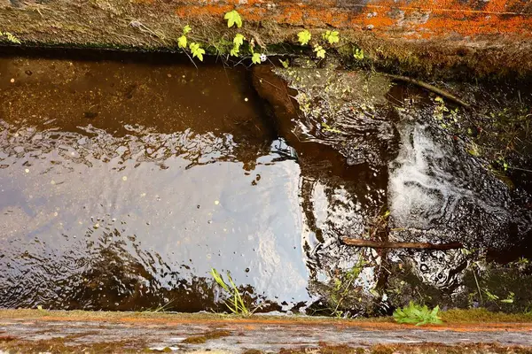 Yosunlu, yıpranmış taş duvarlar arasında akan kahverengi suyu olan küçük, dar bir kanal. Yeşil bitkiler kenarda büyürler ve suyun girdiği yerde köpük ortaya çıkar..