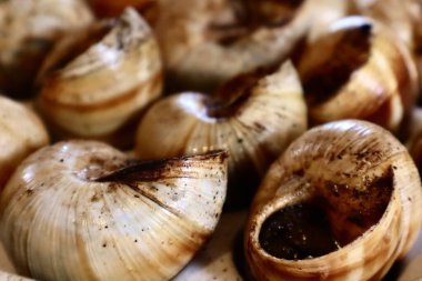 Kabuklarda pişmiş salyangozlar, baharatlı ve yemeye hazır. Geleneksel Fransız lezzeti sarımsak yağı, zengin doku ve gurme sunumu..