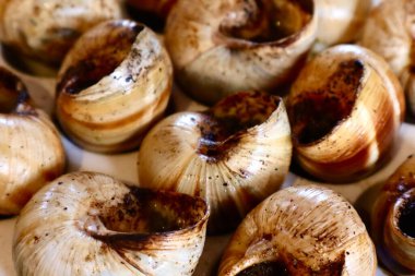 Tepside pişirilmiş salyangozun yakın çekimi. Klasik Fransız lezzetinde kabuklu salyangozlar ve bol otlu tereyağı sosu servis edilmeye hazır..