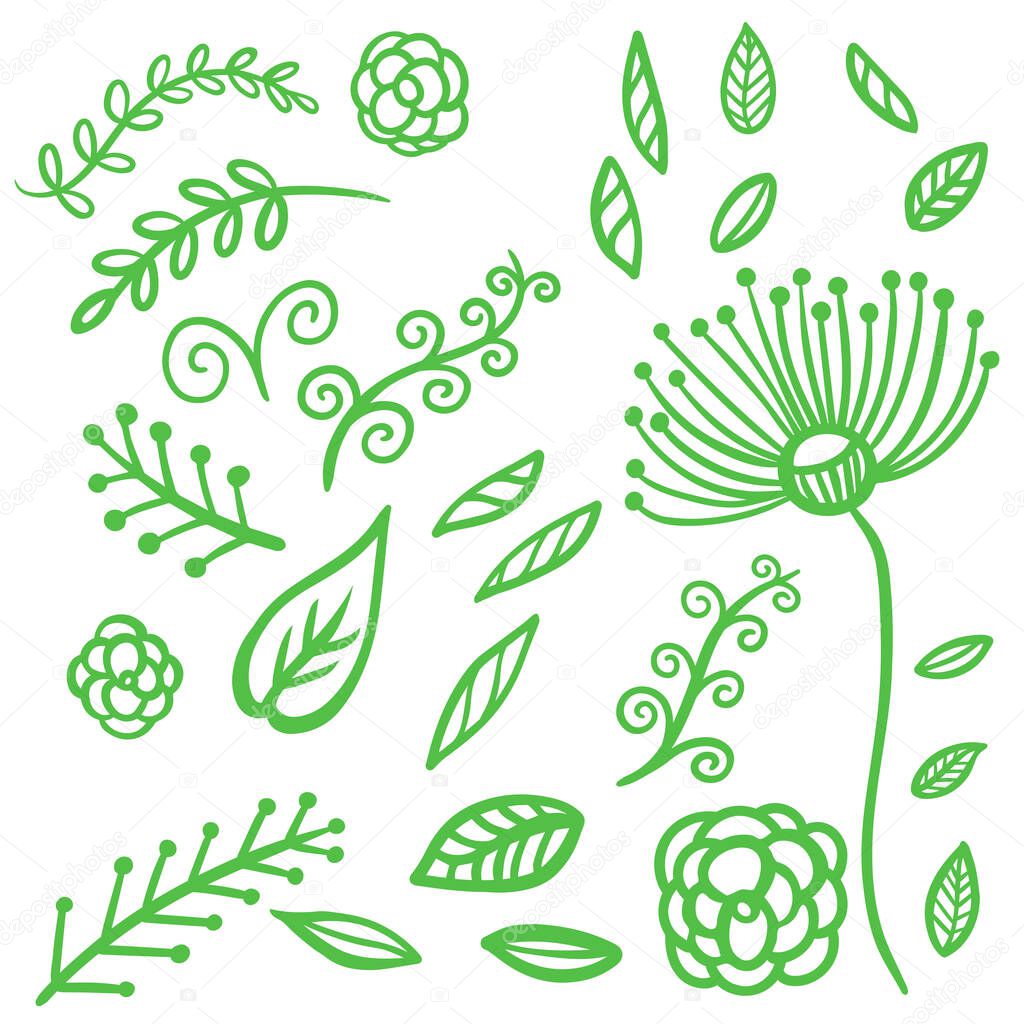 Green Swirls Swash Logo Ornament Design