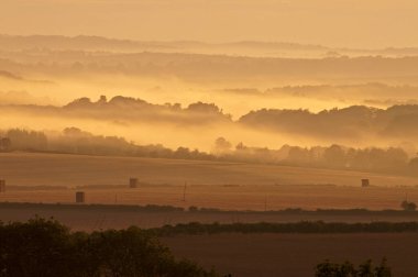 Dorset uk 'taki blackmoor vadisinde gün doğumu.