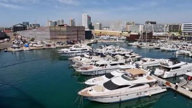 Barselona, İspanya 'da modern binalar ve palmiye ağaçları liman limanına demirlemiş yatlar