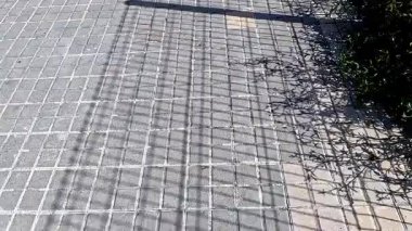 Metal bir çitin gölgesi fayanslarla döşenmiş, bir ızgara deseni oluşturuyor..