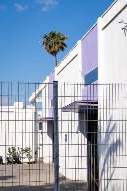 Metal bir çitin arkasından yükselen yalnız bir palmiye ağacı endüstriyel bir binanın zeminine karşı katıksız bir kontrast oluşturuyor.