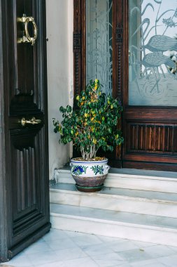 Pembe Duvarlar ve Mermer Merdivenler çerçeveli Kuşların ve Bitkilerin Karmaşık Cam İşlemeli Zarif Ahşap Kapı