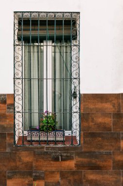 Çiçek açan ve Demir Izgara yazan Büyüleyici Şehir Penceresi