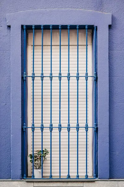 Mor Duvar 'daki canlı Mavi Pencere Parmaklıkları Saksı Bitkisi - Şehir Mimarisi Ayrıntılı