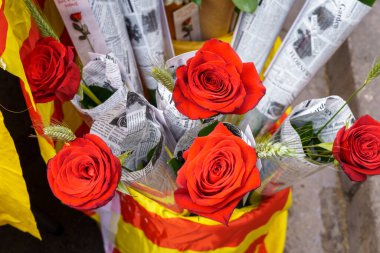 Kırmızı gül ve buğday, Sant Jordi 23 Nisan 'da Katalonya, İspanya' da kutlamaları.