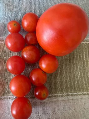 Beyaz arka planda taze kırmızı domatesler