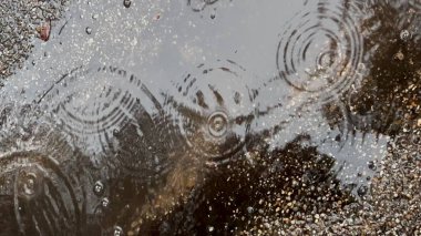 Asfalt Göletinde Yağmur Damlaları Dalgalanma Oluşturuyor